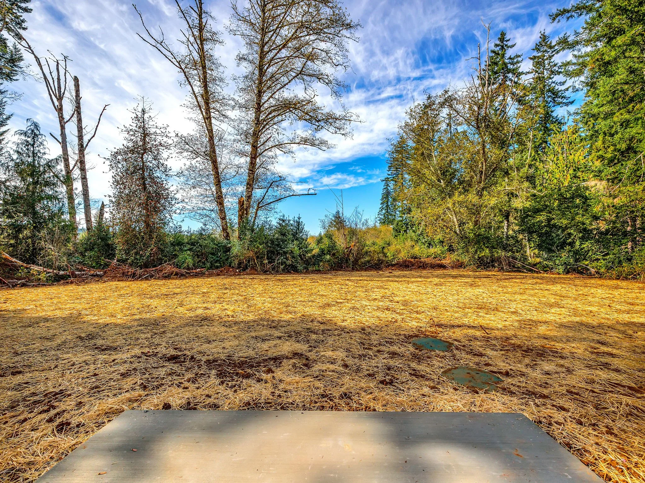47-web-or-mls-92166 Conroy Rd-38.jpg