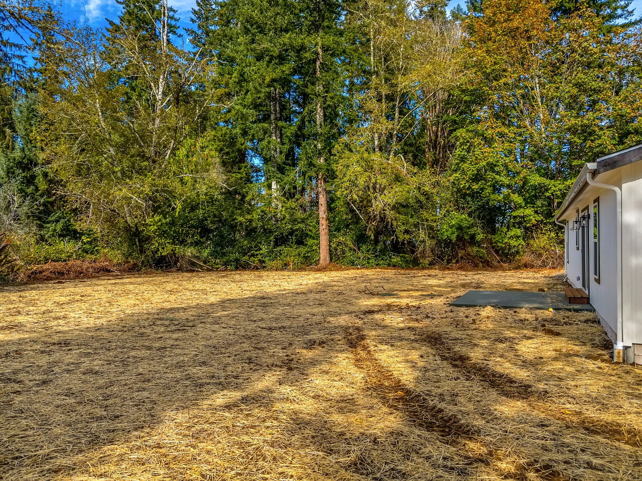 48-web-or-mls-92166 Conroy Rd-39.jpg