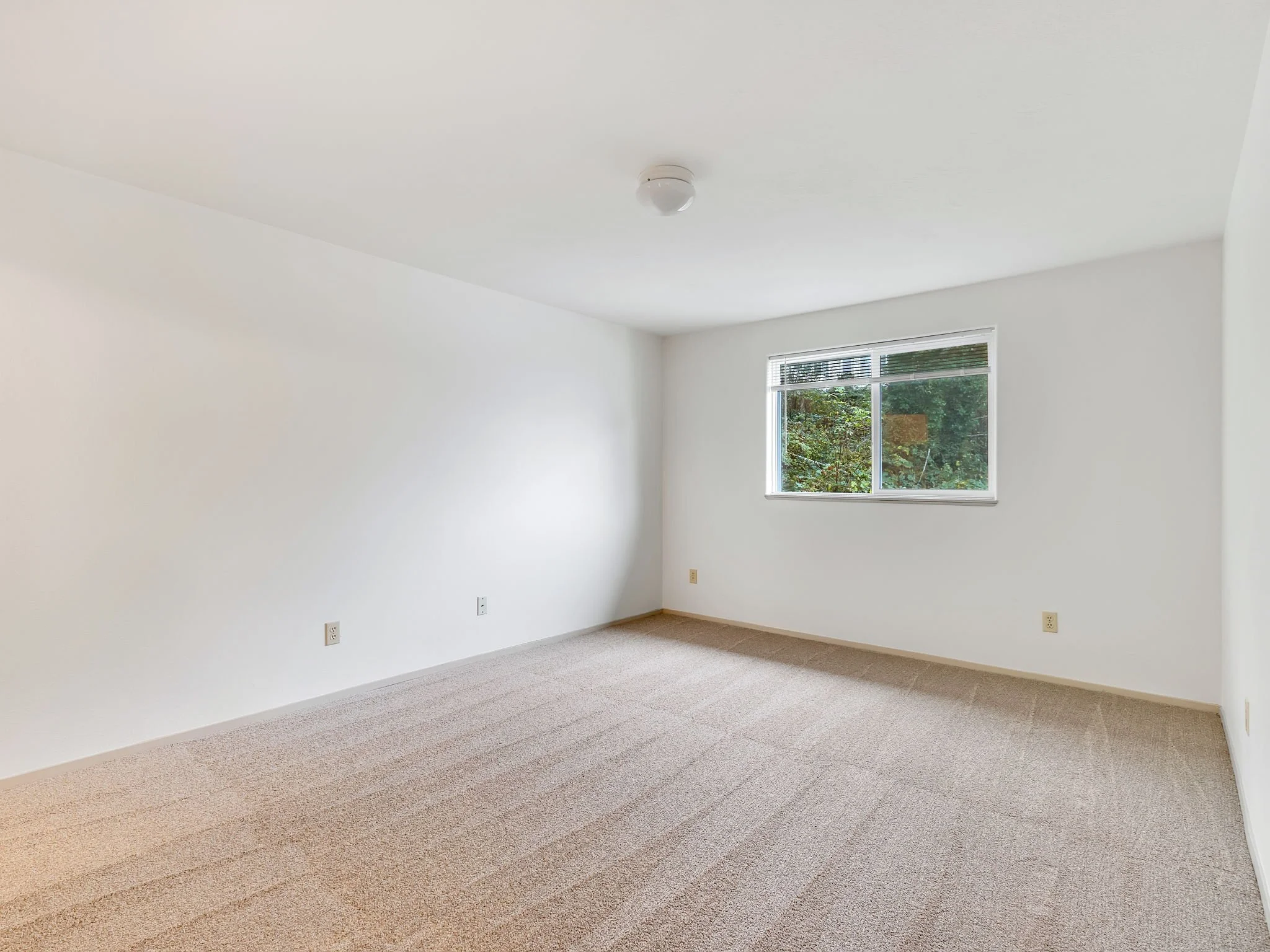 18-web-or-mls-355 S Wahanna Rd-18.jpg