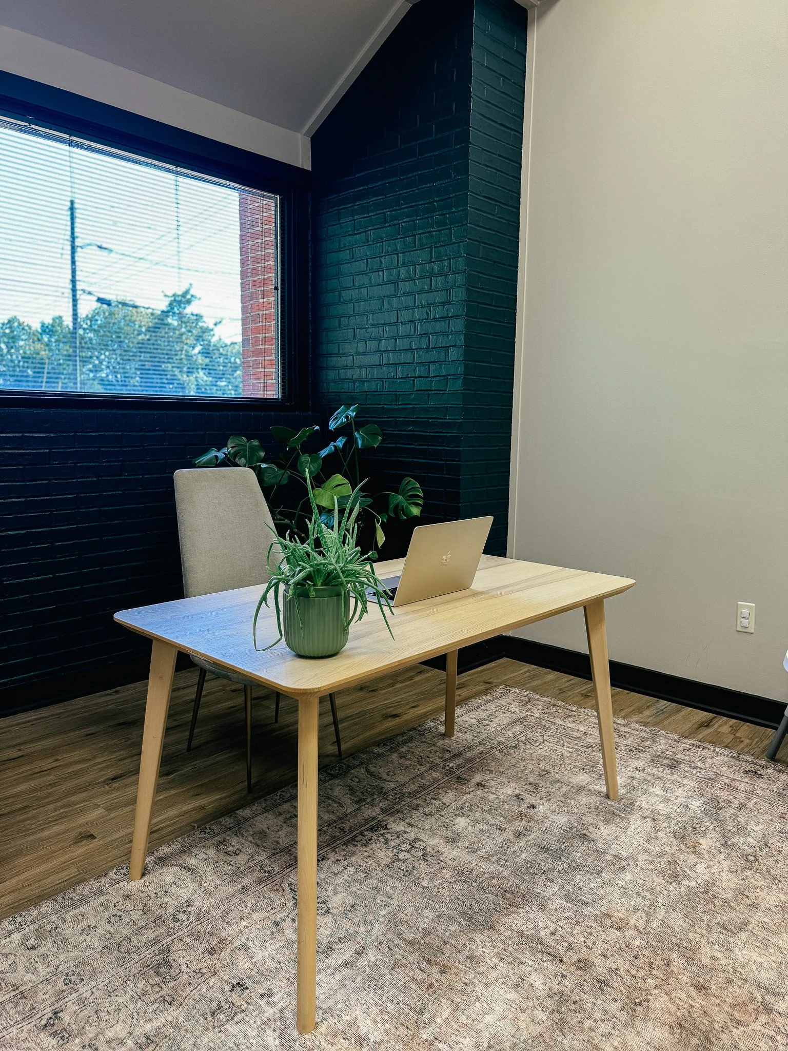 Thompson Wellness Collective Office Desk