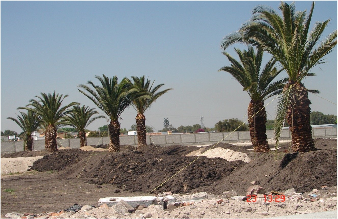 haciendasangabriel.jpg