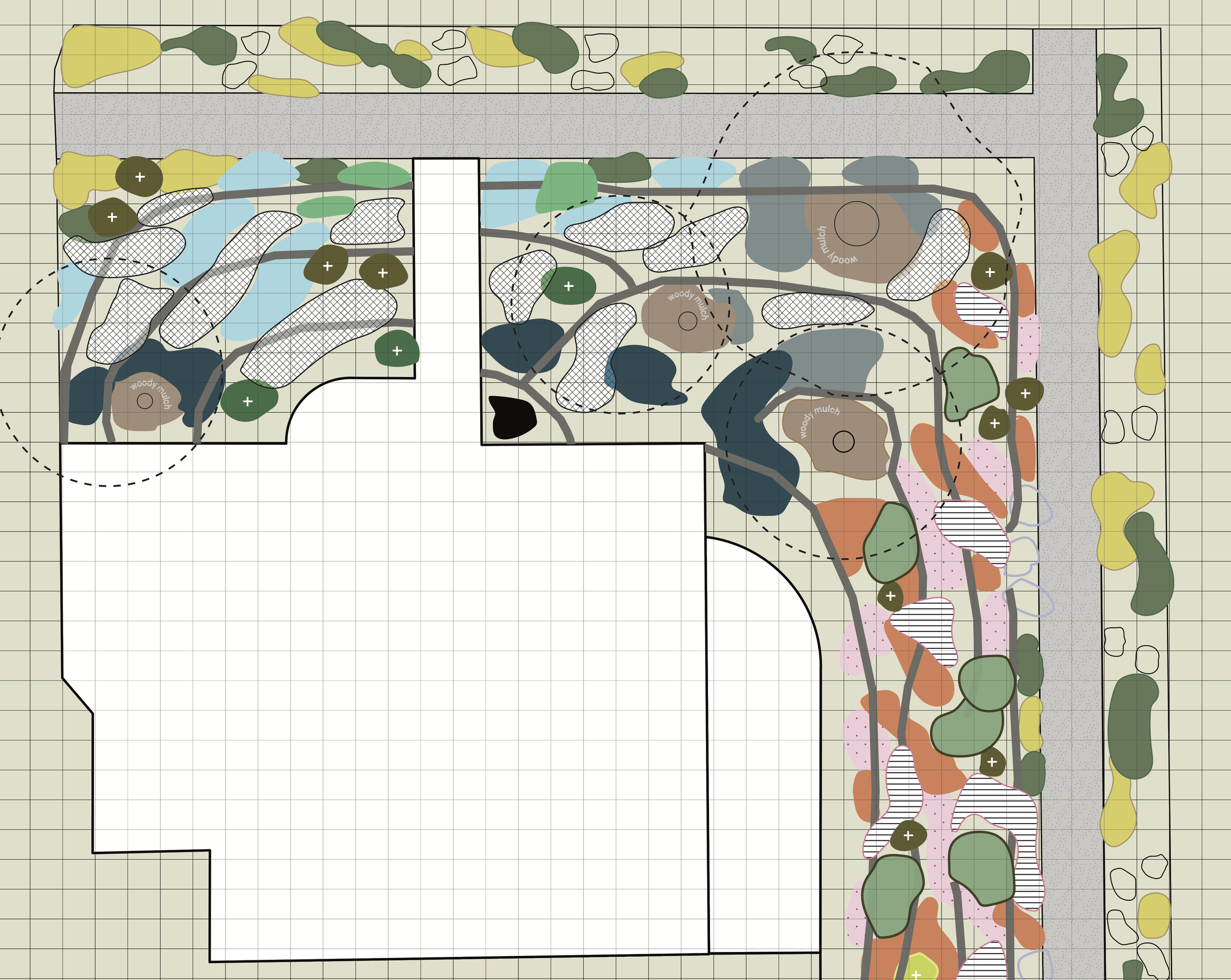 260320 Palmer Planting plan 13x19.png