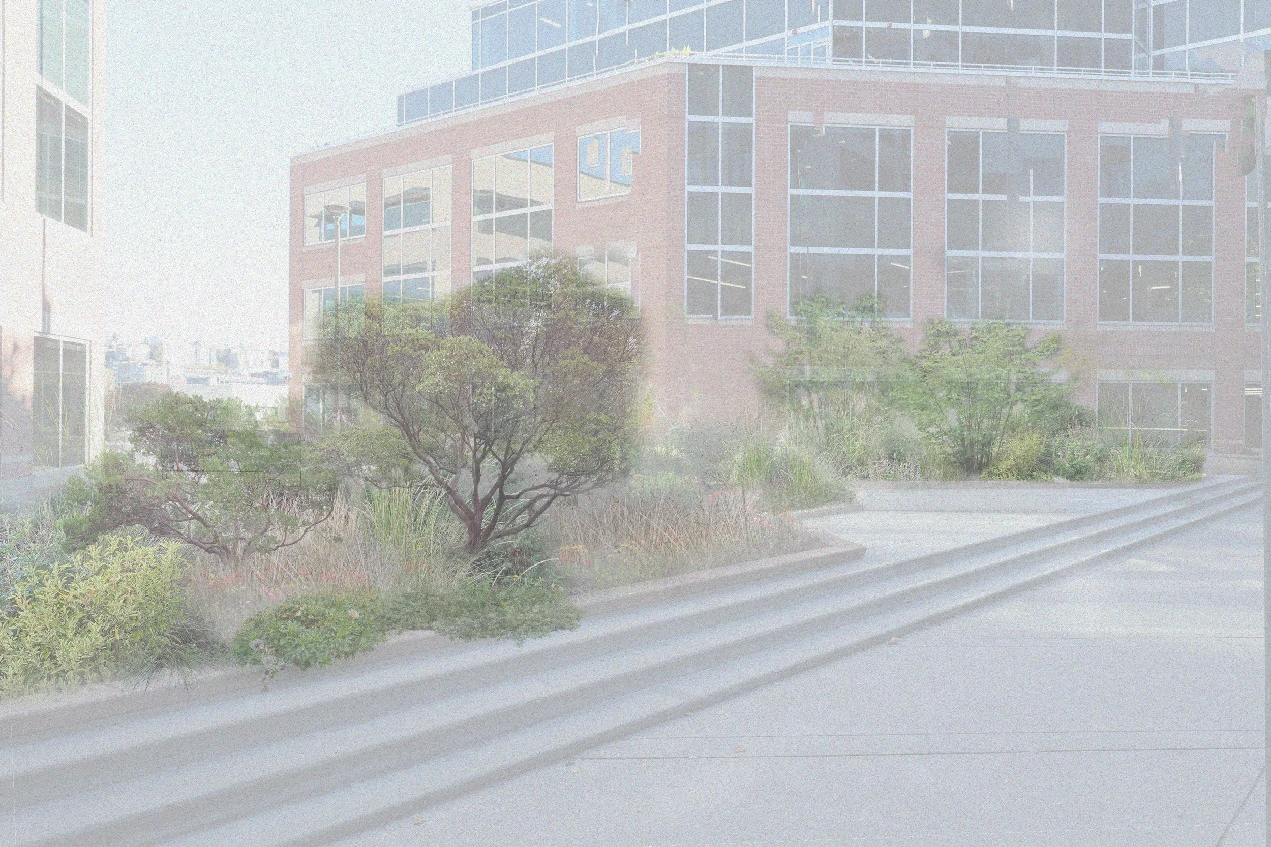 Dexter Plaza