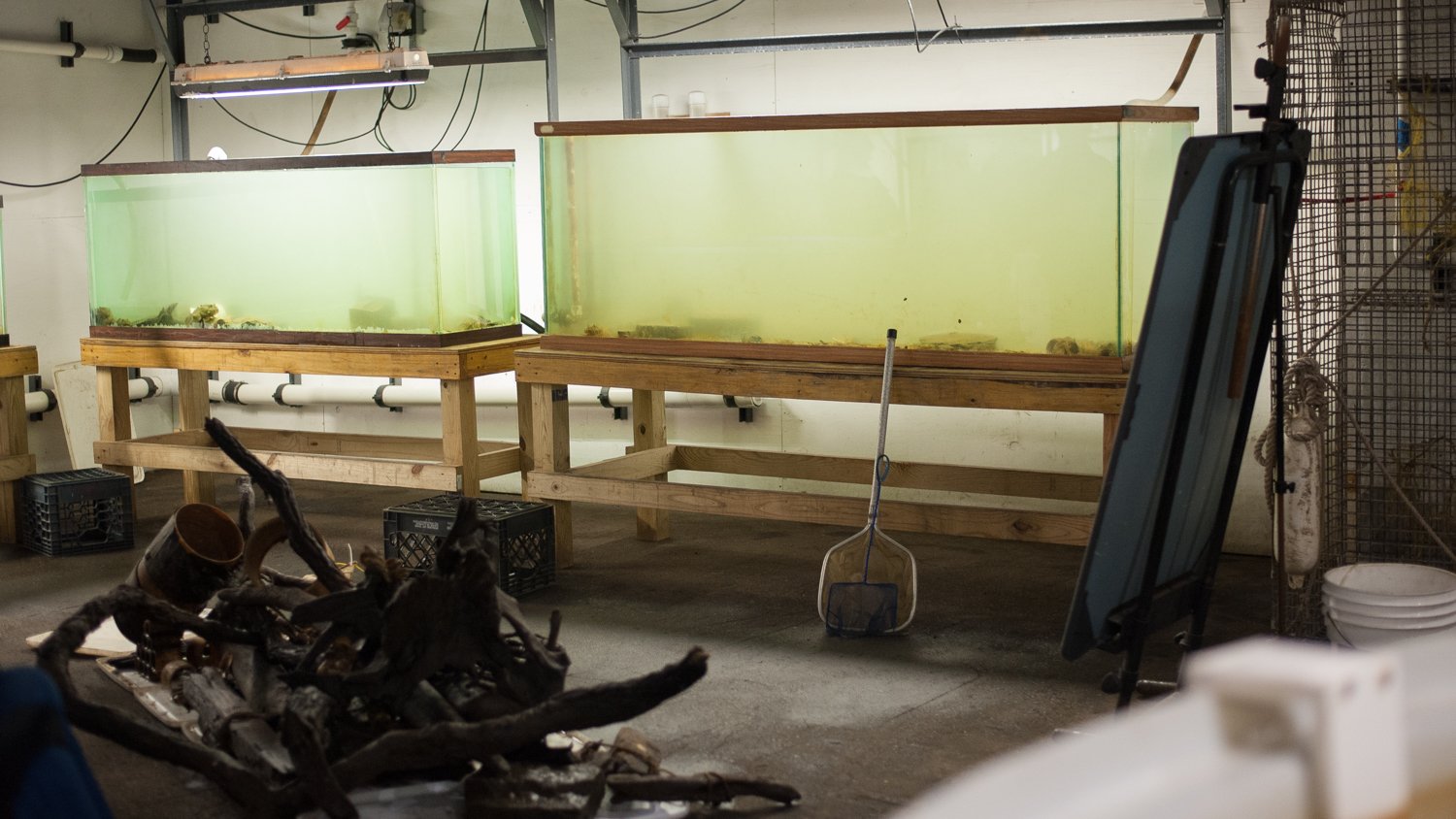 Empty tanks at the end of the night, a marker of the end of another great research season.