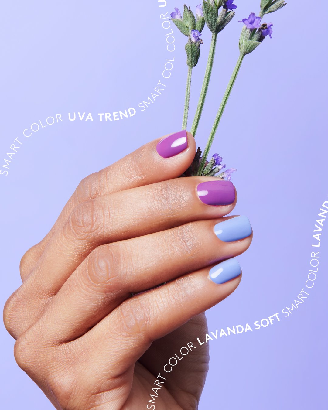 2510_smartcolor_3.jpg