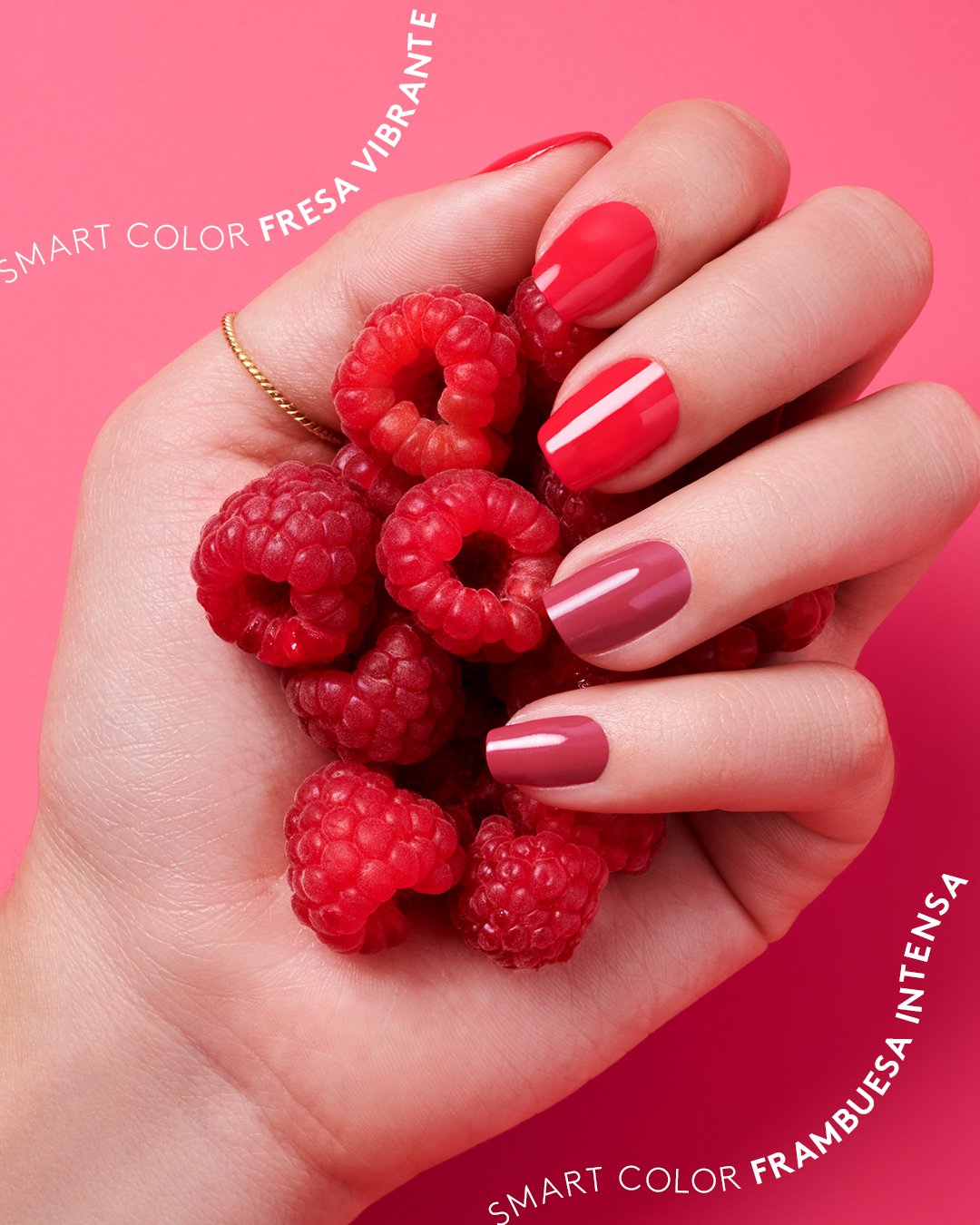 2510_smartcolor_2.jpg