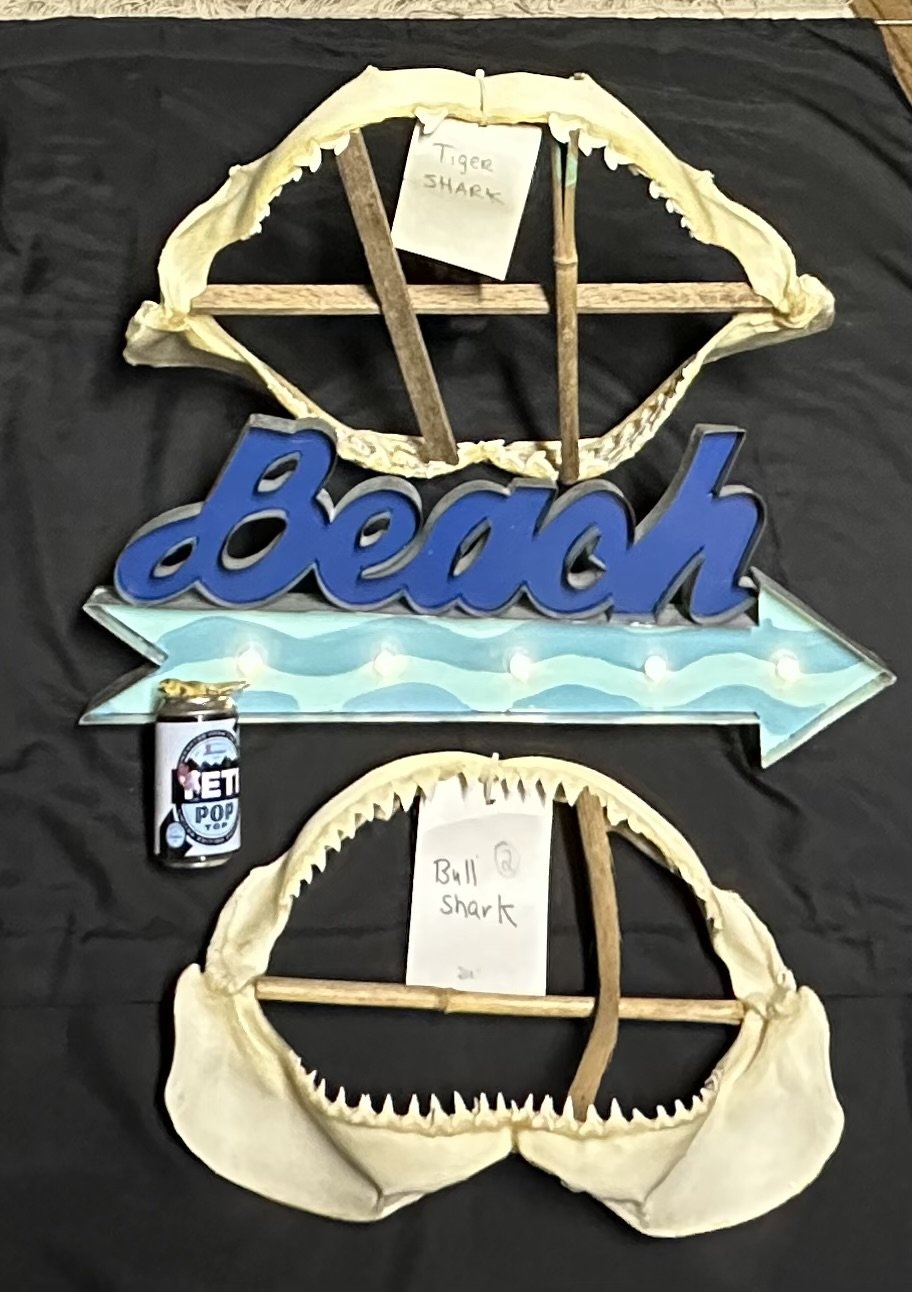 Yes they are real and yes It's ok to sell them.
Plus they are from a very large fish.