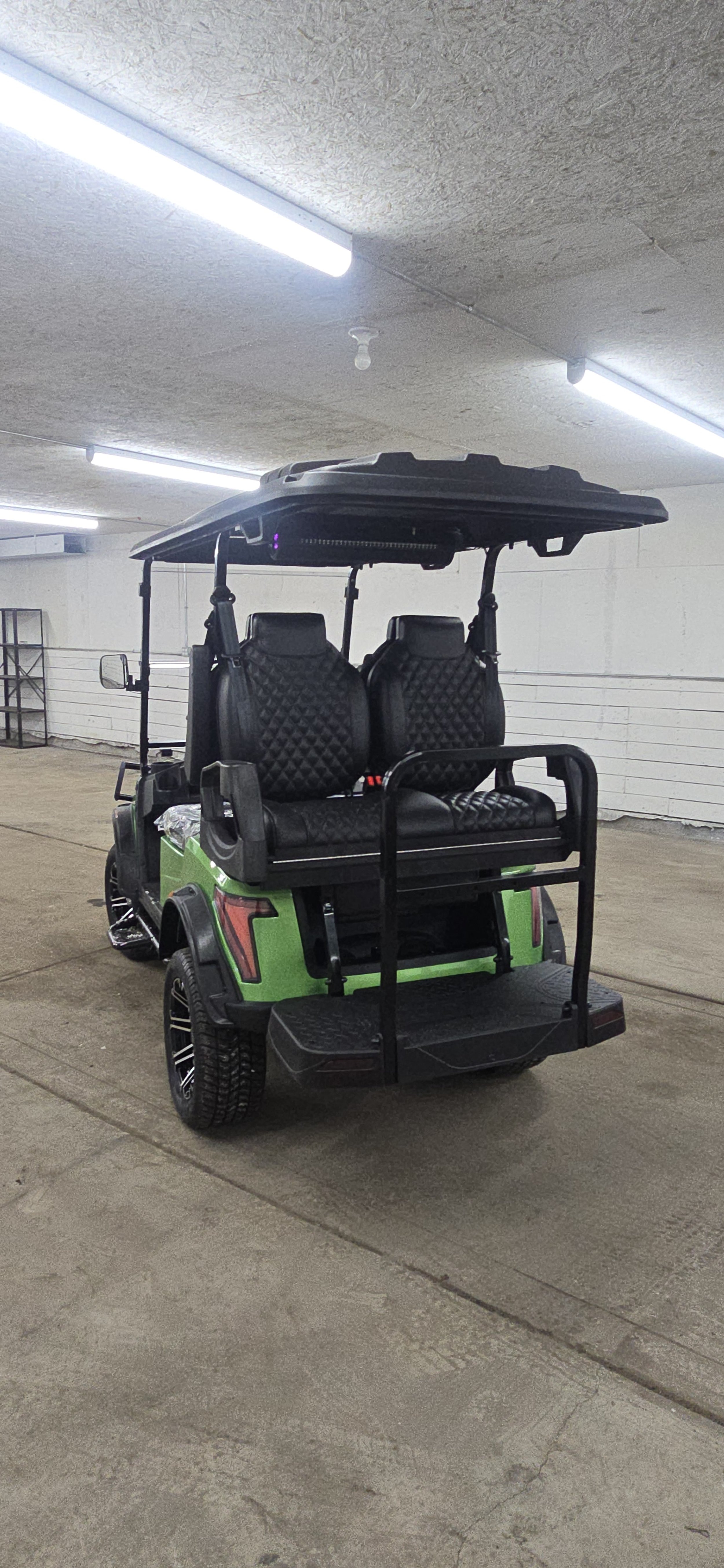 Green Portrait Back.jpg