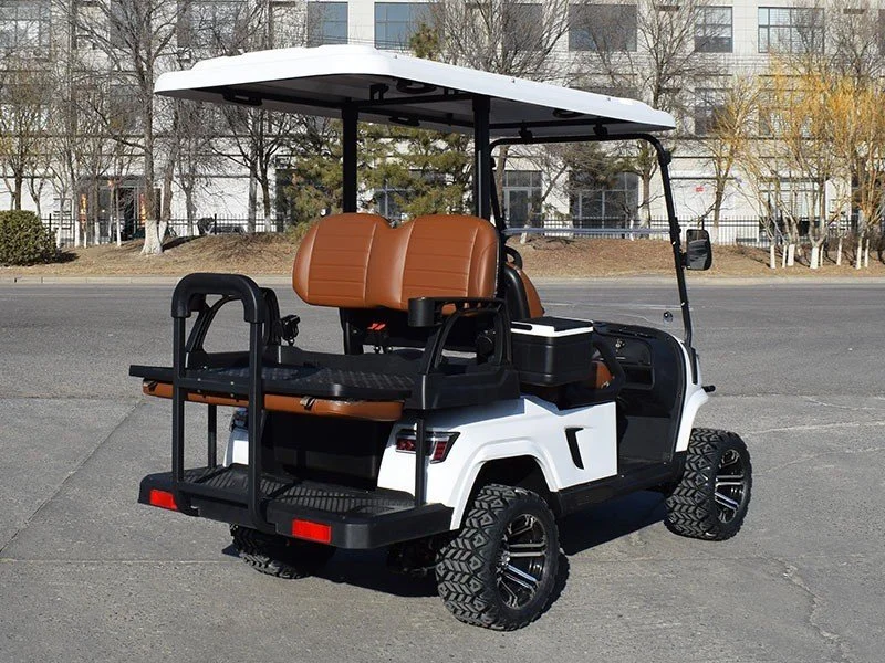 2+2 E SERIES P5.jpeg