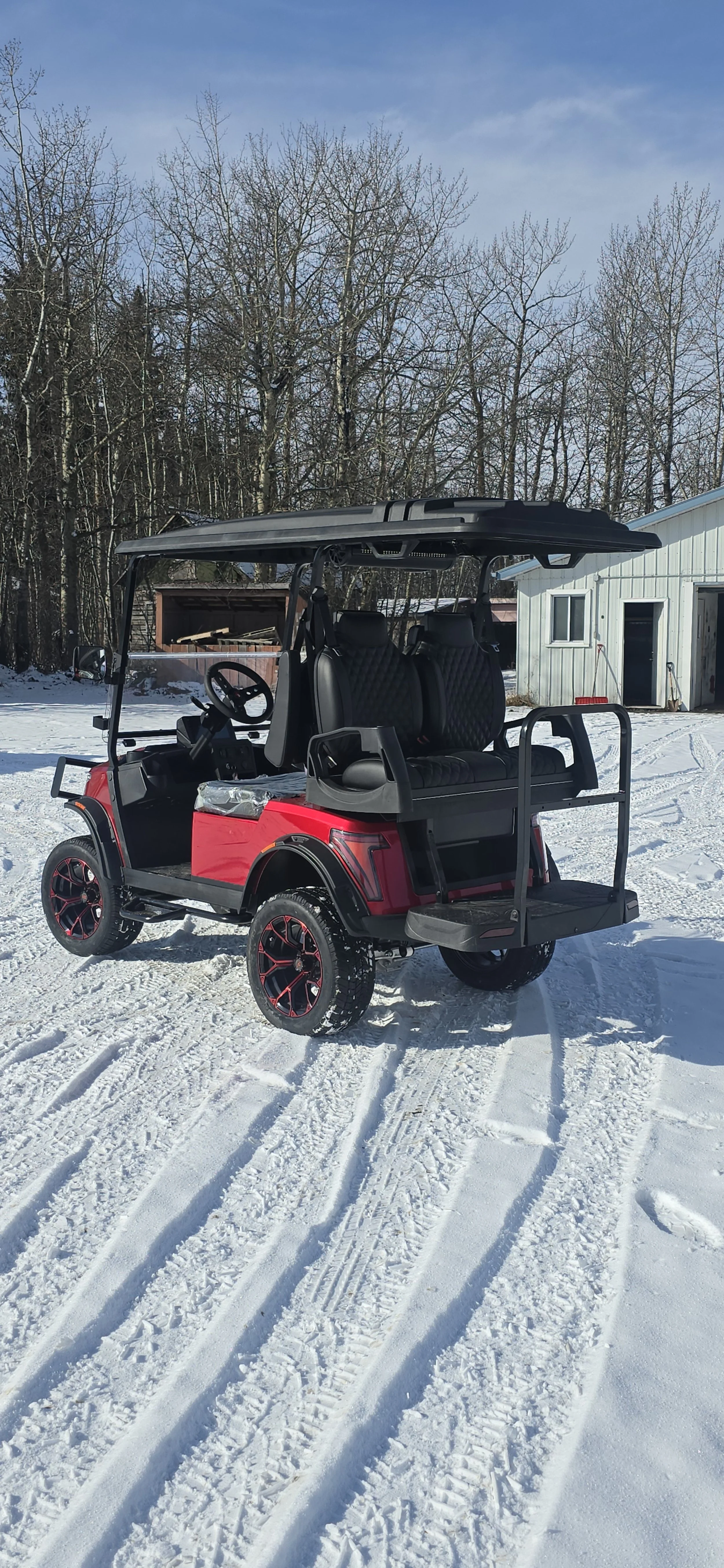 Red Portrait Back.jpg