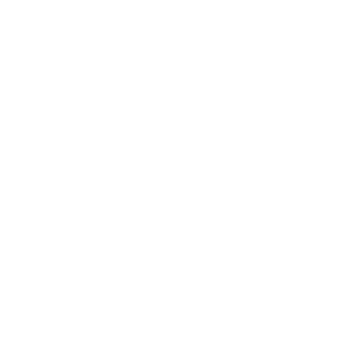 leadership connection