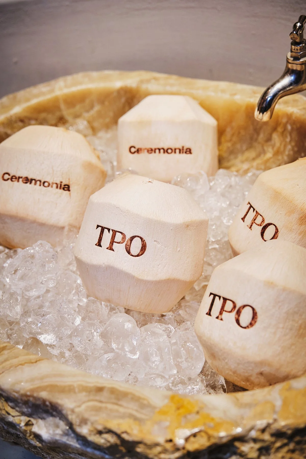 TPO_POPUPSOHO_NY100225(OnlineRes)-108.jpg