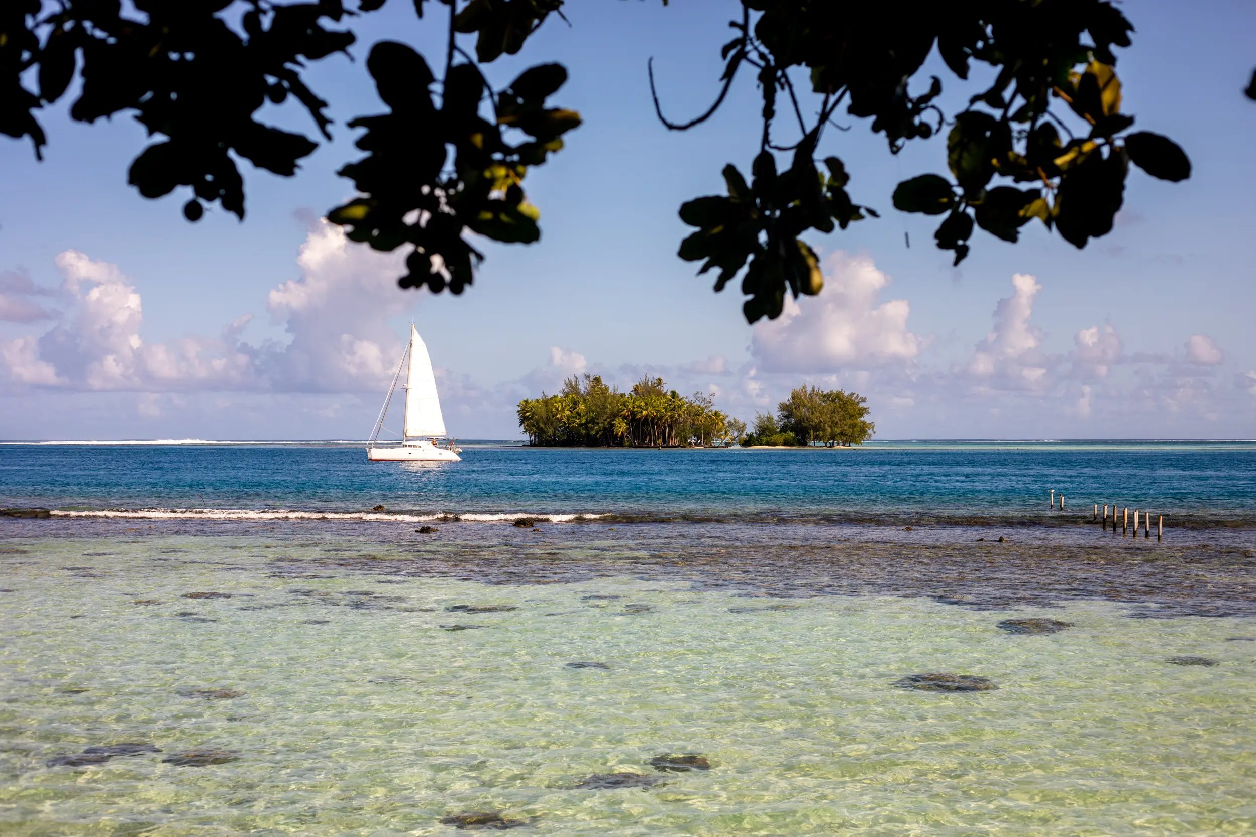 French_Polynesia_Dayyan_Armstrong_2022-9.jpeg