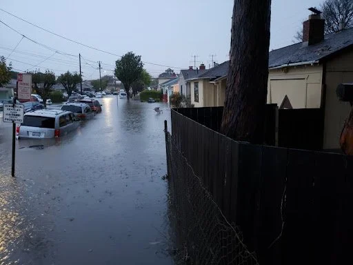 Protecting Homes and Building Trust: OneShoreline’s Home Protection and Insurability Initiative