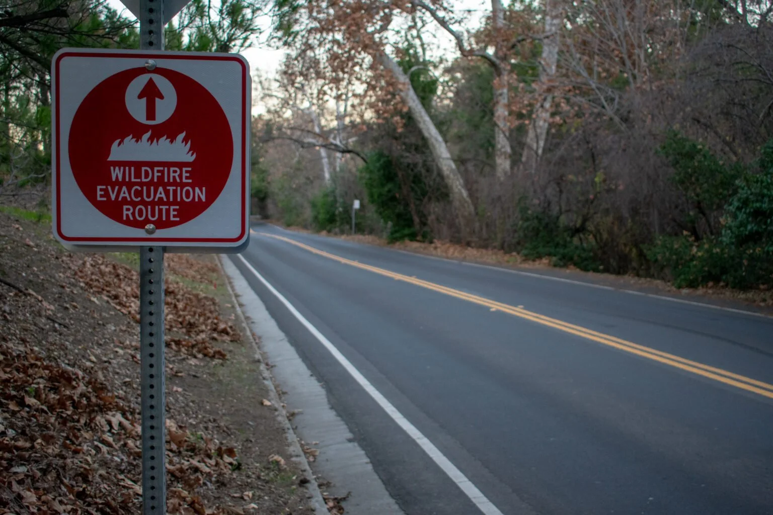 California Can’t Afford to Wait: The Fiscal Case for Sustained Resilience Investment