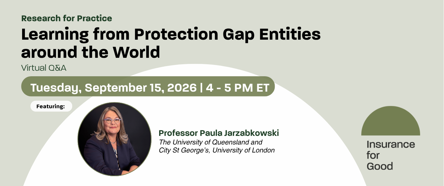 Research for Practice: Learning from Protection Gap Entities around the World