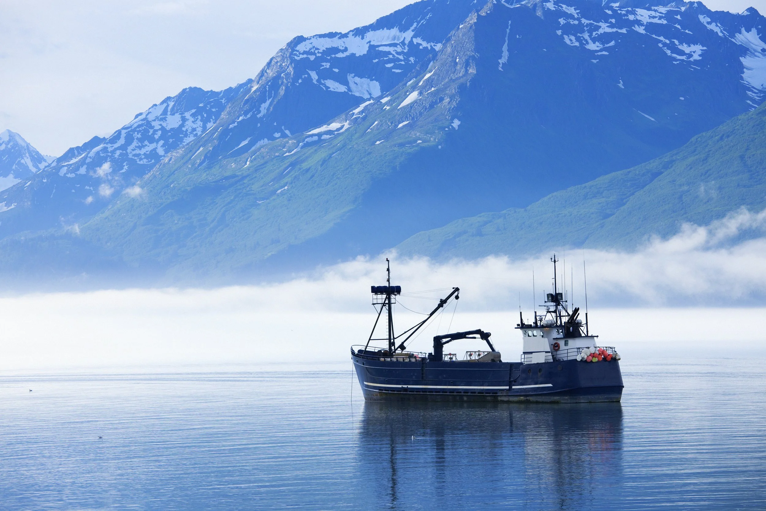 The U.S. Fisheries Insurance Gap