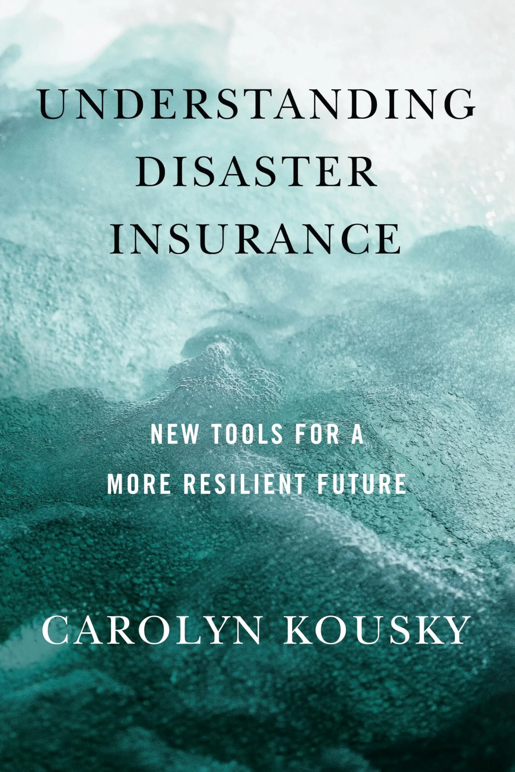 Book cover titled 'Understanding Disaster Insurance' by Carolyn Kousky with an ocean or floodwater background and subtitle 'New Tools for a More Resilient Future'.