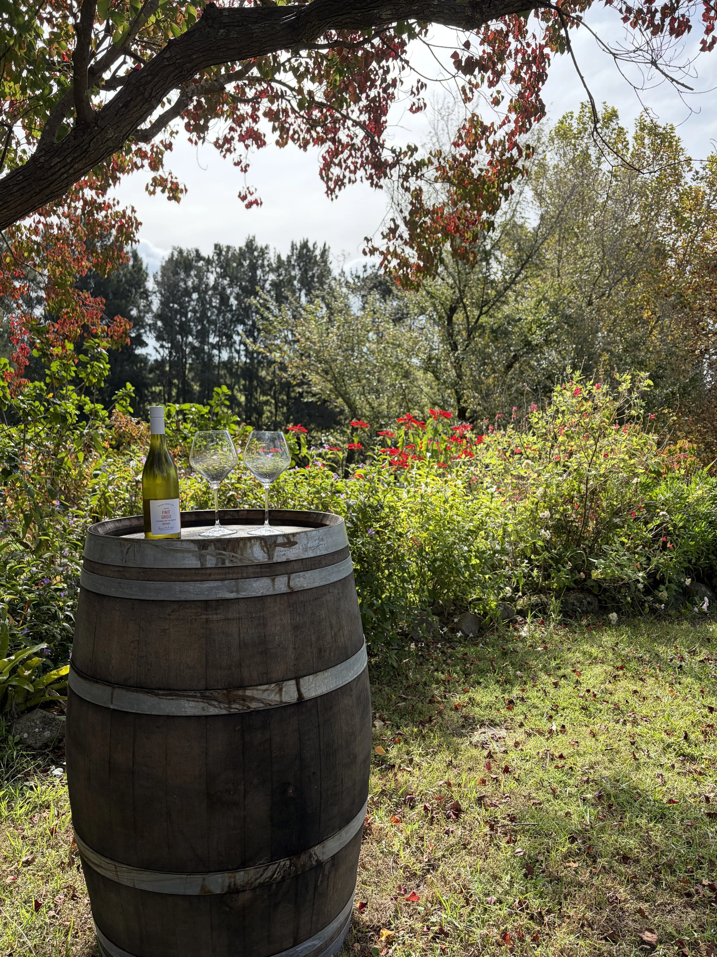 Wine tasting in our beautiful garden in Milton