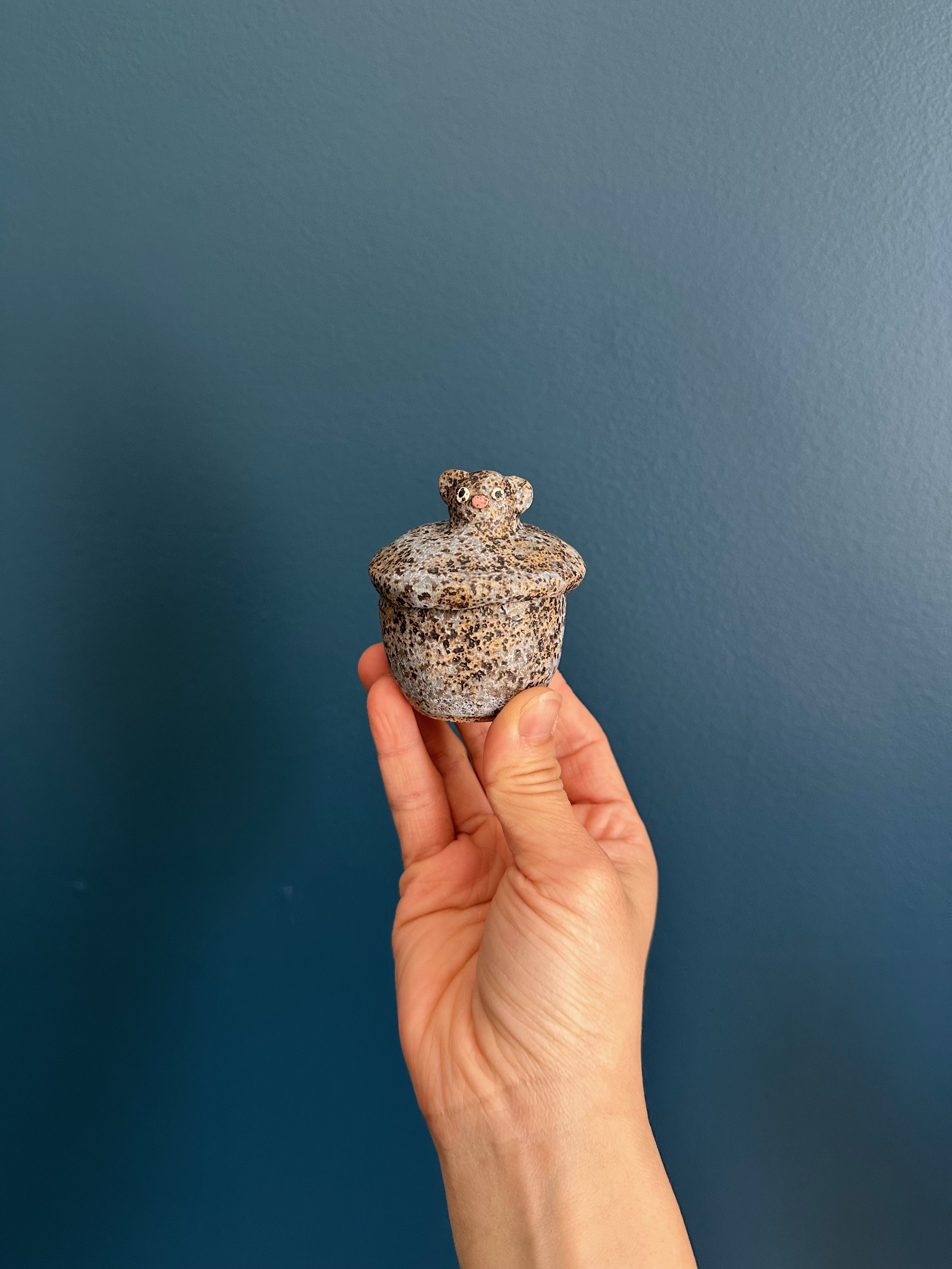 teddy bear container