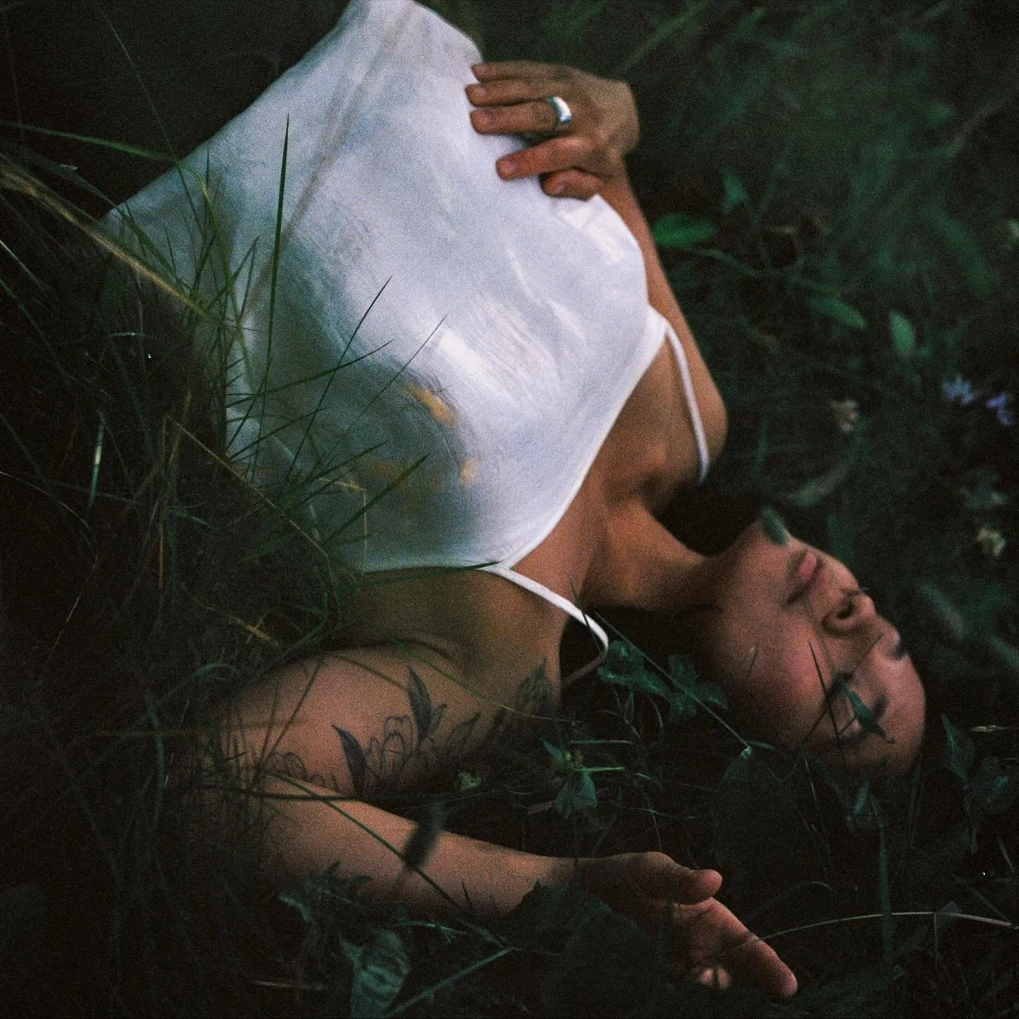 Summer on film, by @the.secret.birder.