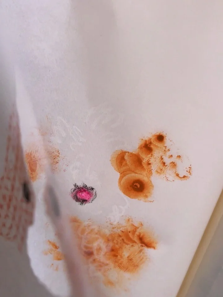 I wonder how #LeoLeonni would&rsquo;ve illustrated @kinothedoodle 🐶🤭 レオニーさんだったらキノの事どういう風に表現していたのかなぁ？
#ayakamusing日記 

It was fun to attend the Lounge Talk&hellip; which ended with a rainbow in the sky! 🌈 

📗&rdquo;Nicolas, where have you been?&rd