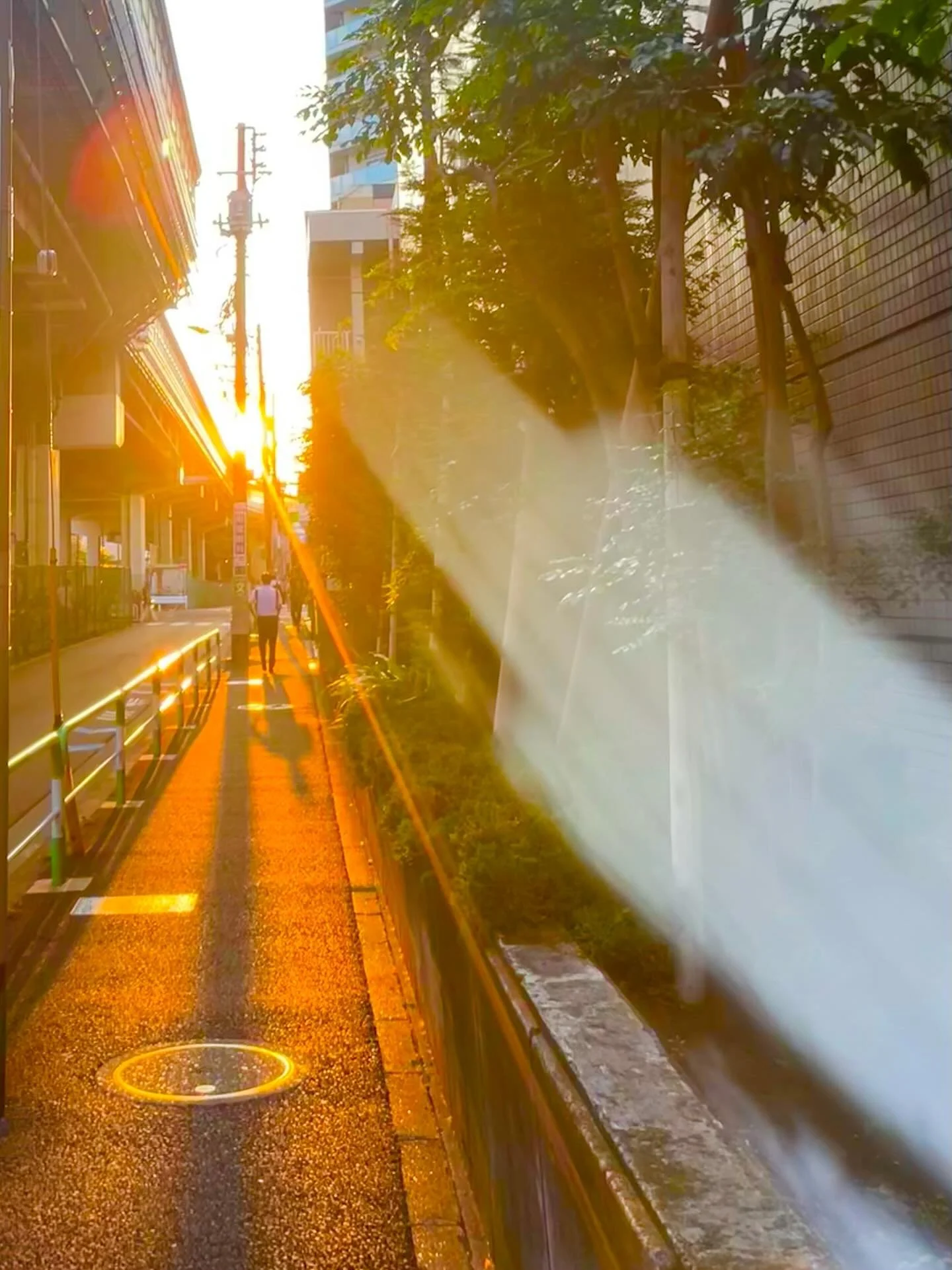 Creative inspo : July 2025
夏っ🌞
暑っ💦