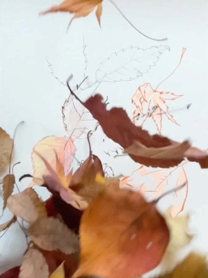 Autumn 2025 
From a desperate crisis to an unexpected blessing // 絶対絶命の大ピンチから予期せぬ祝福へ

Seeing canopies of colorful trees, 
I felt the LORD saying: 
Ayaka,
you held onto Psalm 3 for 5 years, 
you sketched #ayakaTree in a tiny park,
you painted #ayakaFo