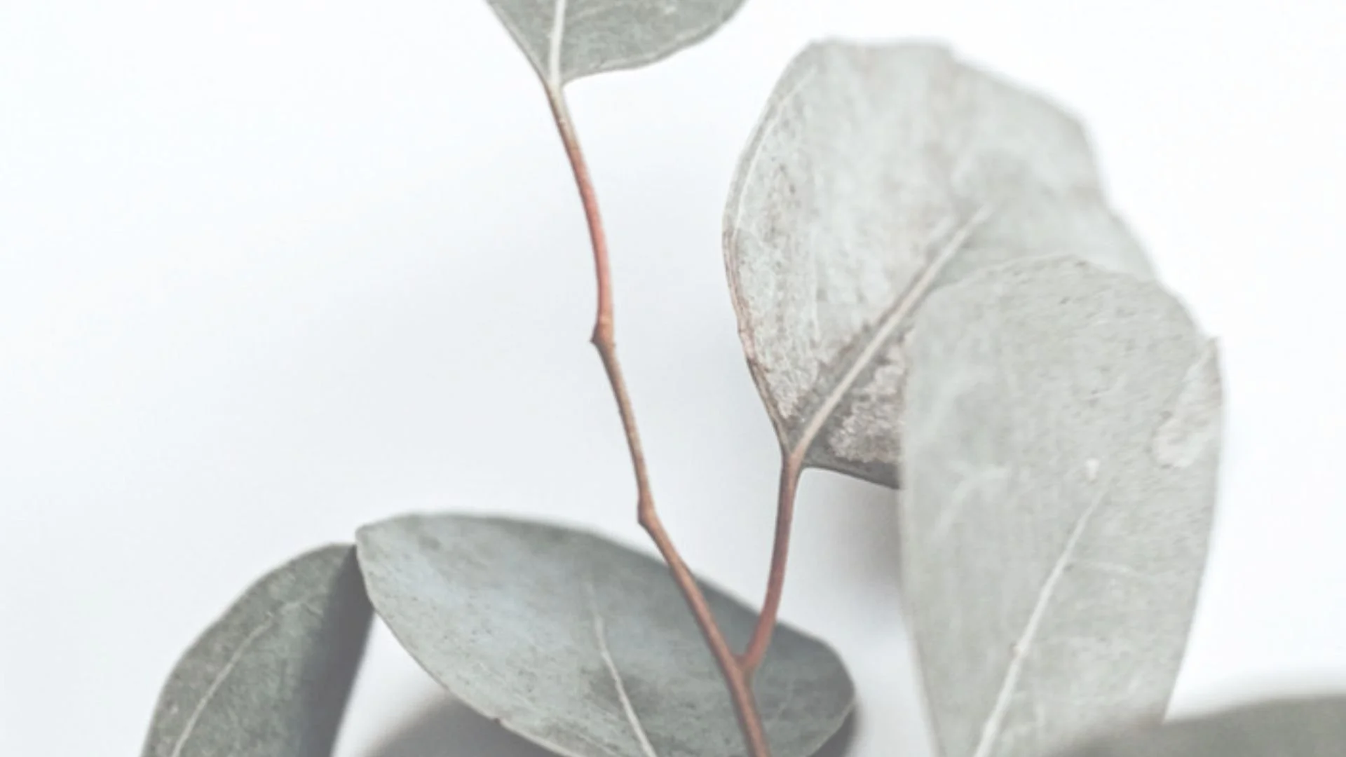 Discover the Top Health Benefits of Meditation