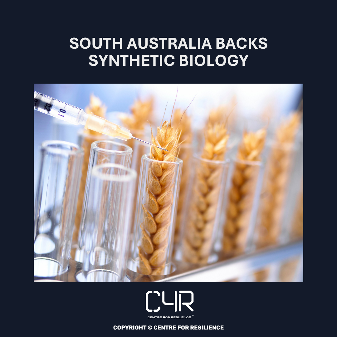 South Australia backs plant synthetic biology as agriculture faces climate and supply-chain pressure