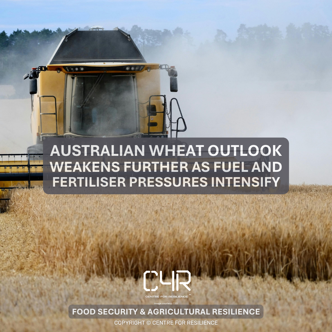 Australian wheat outlook weakens further as fuel and fertiliser pressures intensify