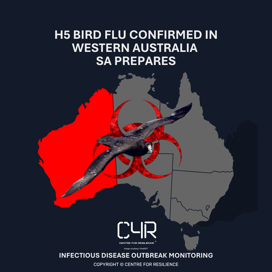 South Australia moves into preparedness mode as H5 bird flu reaches mainland Australia