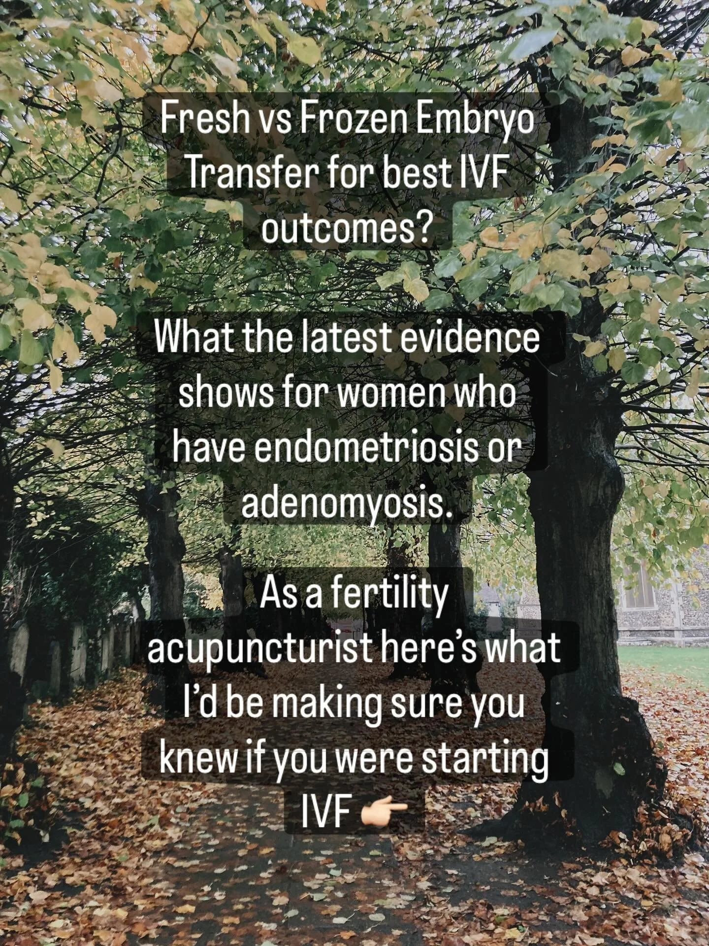 #fertilityacupuncture 
#endometriosissupport 
#painfulperiods
#endometriosishertfordshire
#acupuncturehertfordshire