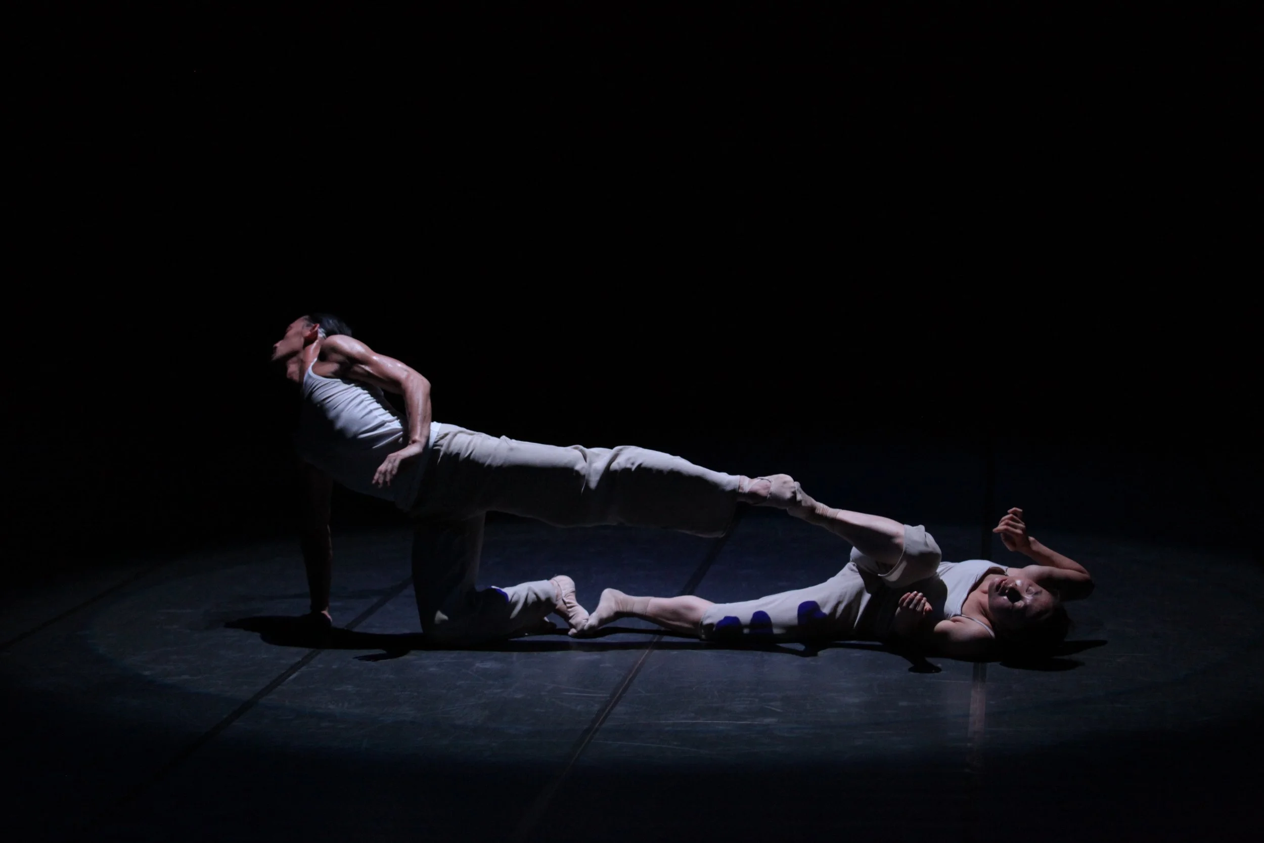 Dance Sanga主催プロジェクトカンパニー／ダンスサンガ・カマラード公演　「Songs of Innocence and of Experience 」　（無心と体得のうた）