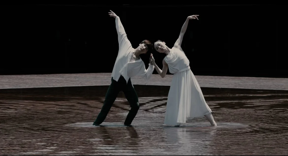 【公開】White Noesis 映像作品