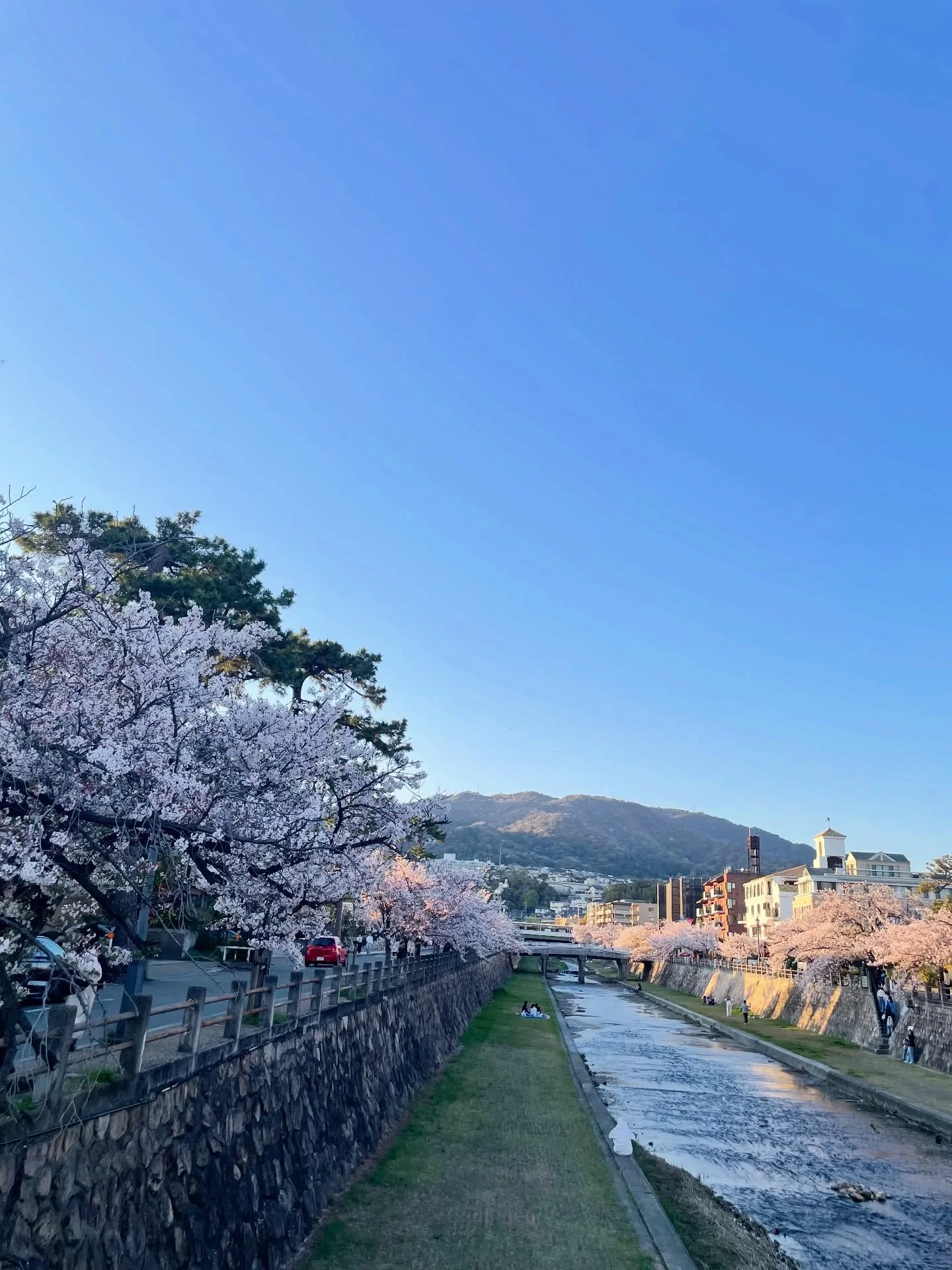 ・
芦屋川の桜が見頃の季節、ヴァイオリニストの日下紗矢子さんが芸術監督を務める芦屋国際音楽祭が開催されました🎻

日下さん、スーパーキッズオーケストラの皆さんと
ご一緒させていただく機会をいただき
参加させていただいた子供のためのコンサートのテーマが
今年は「バロック音楽」で、バロックダンスの振付をご依頼いただいたのですが、お恥ずかしながら大昔に舞踊史を学んだ時に少し触れた程度でしたので、バロックダンサーの松本更紗先生に1からご教授いただきました

クラシックバレエのルーツといわれるバロックダ