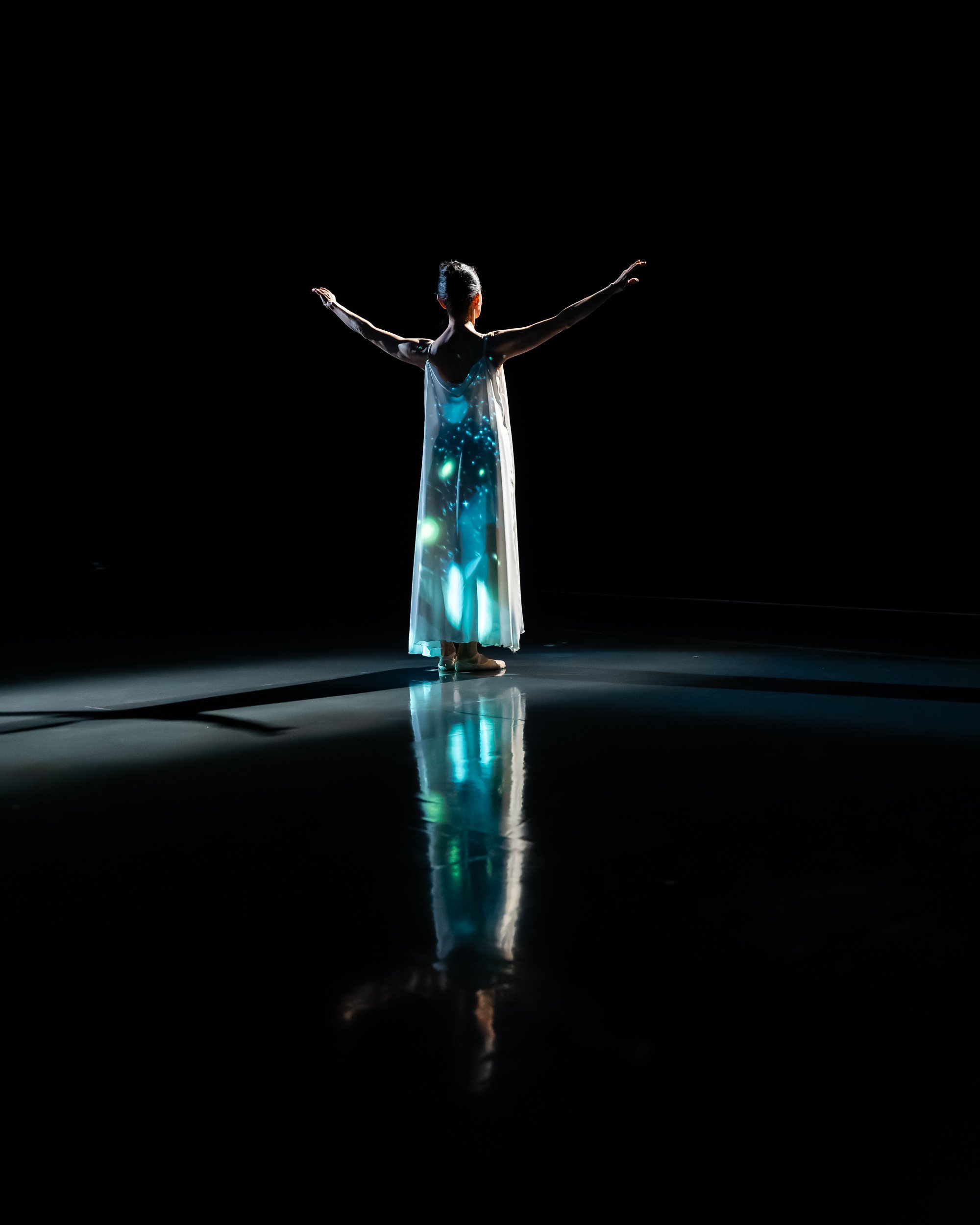 舞台の中央に立ち、背中を向けた女性が腕を広げている。暗い背景と照明の効果で女性の後ろ姿と長いドレスの光る模様が映し出されている。