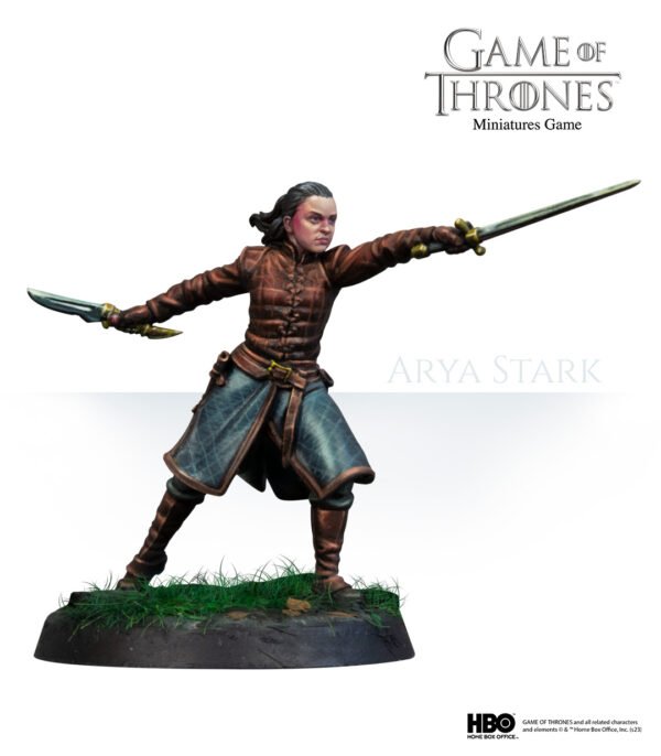 ARYA_PRODCUTO-1-600x686.jpg