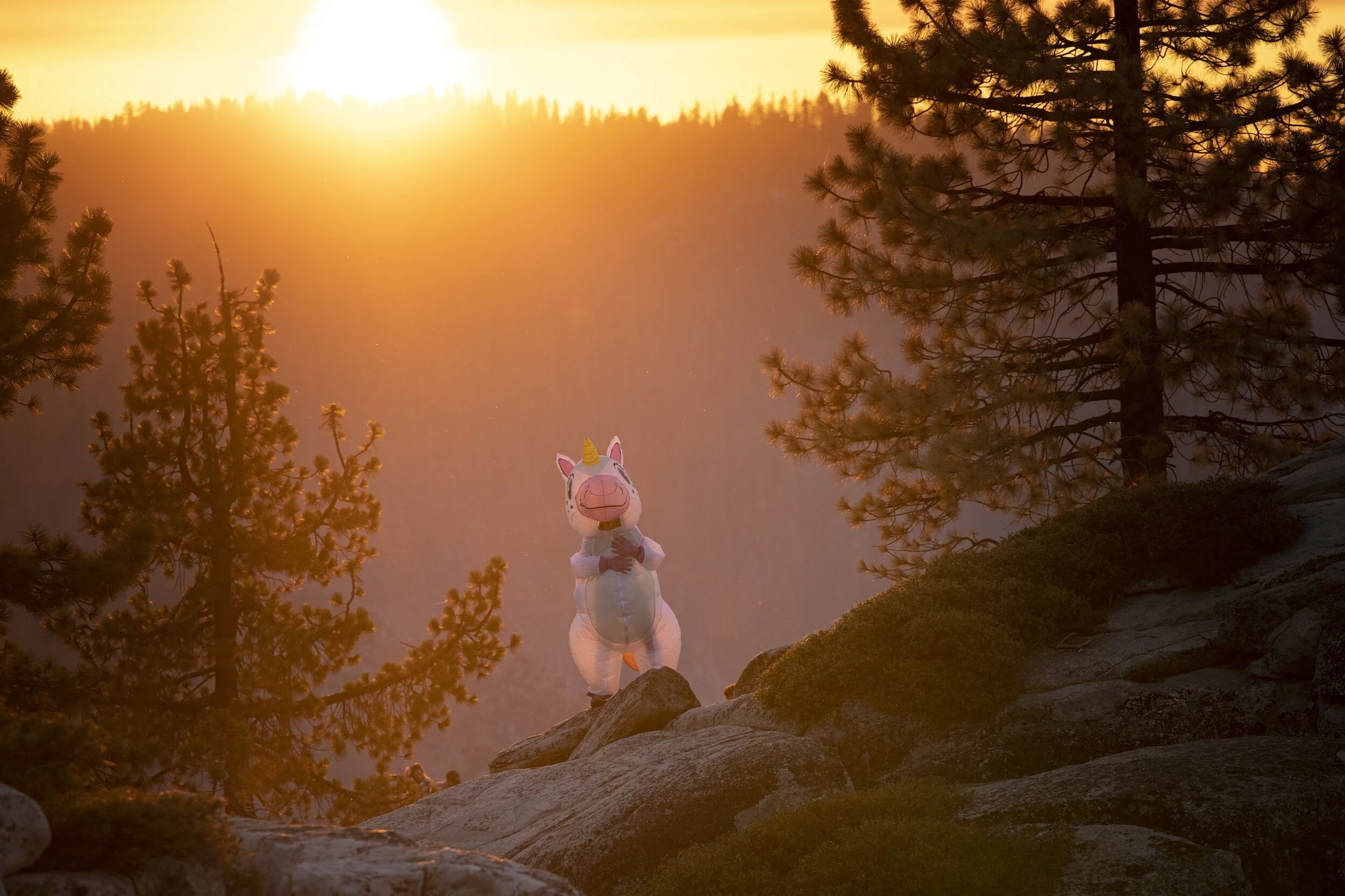 The Enigmatic FinOps Unicorn: Bridging Value and Innovation