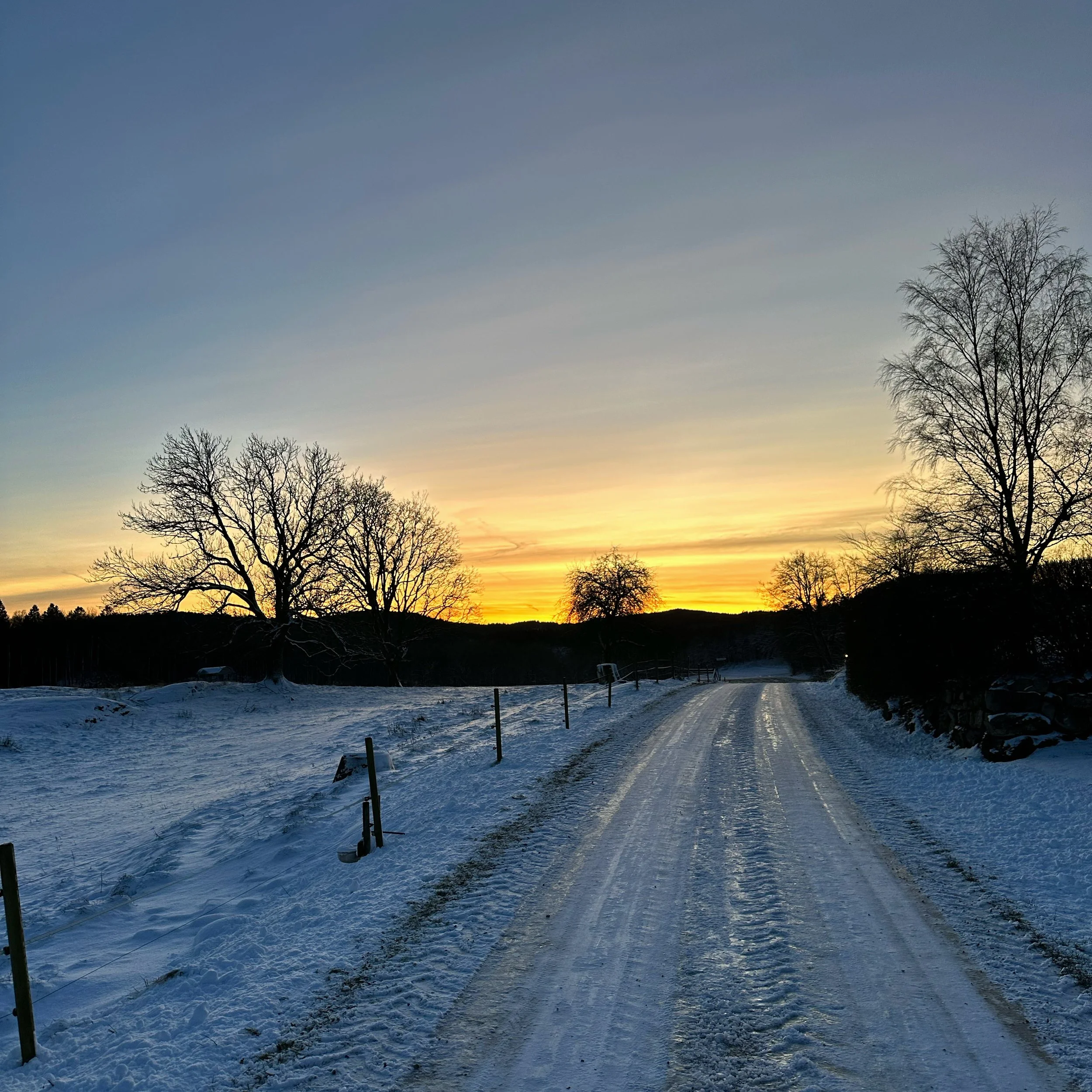 A look into 2024 while closing 2023: My FinOps Journey Unfolds