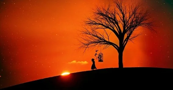 Soirée de constellations familiales et systémiques en groupe.