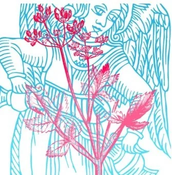 Constellations systémiques et familiales en groupe, thème libre