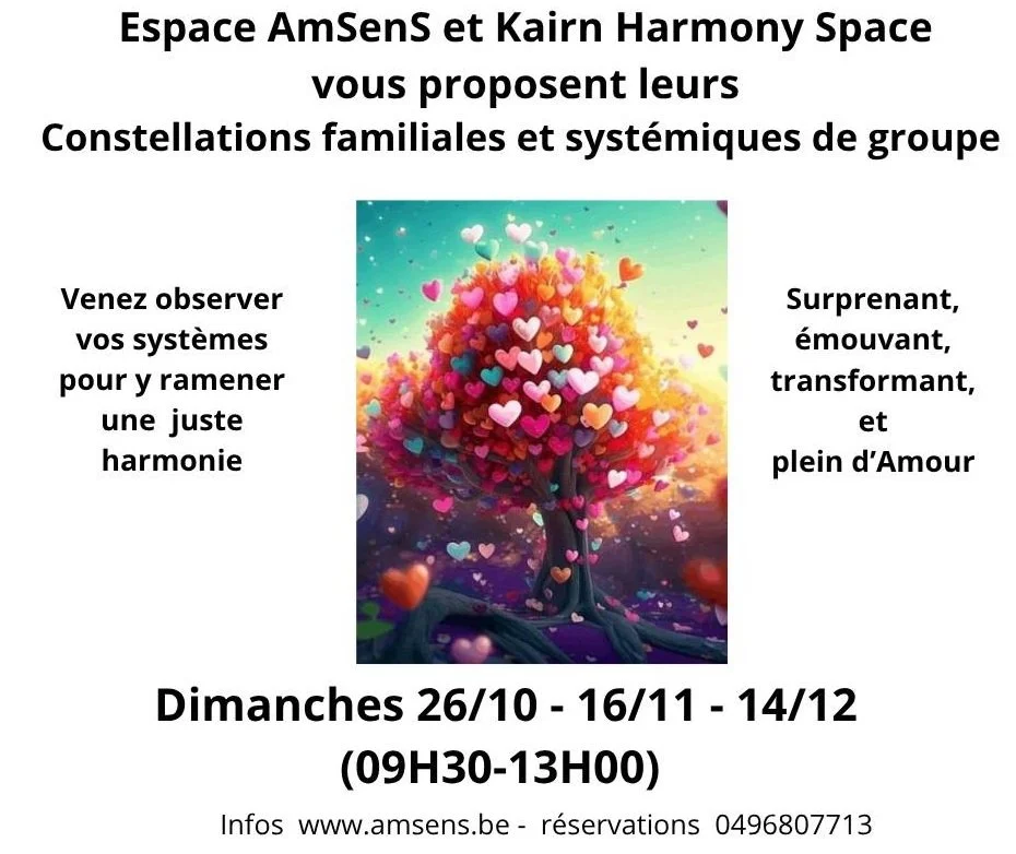 Matinée de Constellations systémiques et familiales