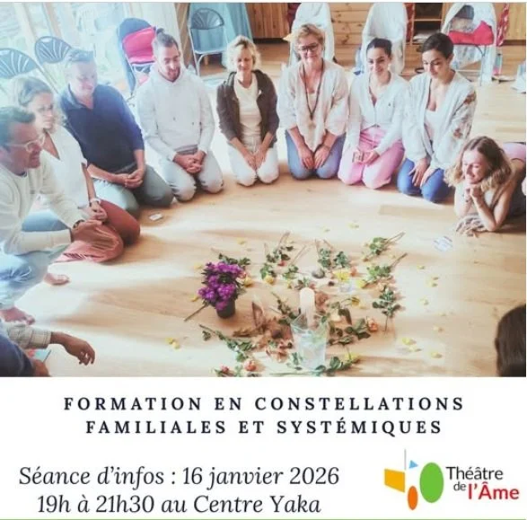 Présentation de la NOUVELLE FORMATION INTENSIVE PROFESSIONNELLE  EN CONSTELLATIONS FAMILIALES 2026, 7 modules de 3 jours. 