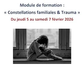 MODULE FORMATIF DE 3 JOURS, 'CONSTELLATIONS ET TRAUMAS" , réservé aux personnes formées ( ou en formation) en constellations