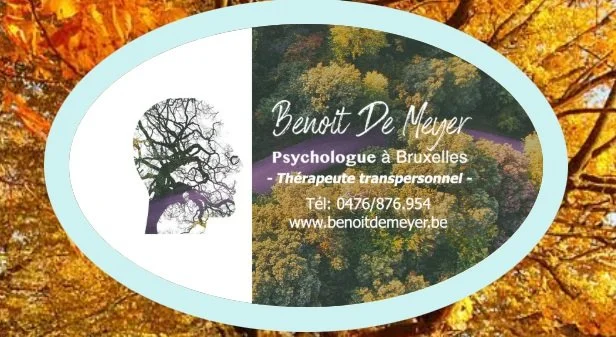 "Les Dimanches des Constellations Familiales",   journée de constellations en groupe, thème libre.