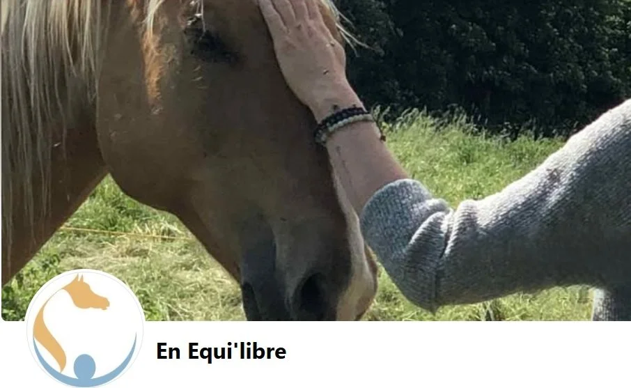 Ateliers Chevaux & Constellations Venez explorer un chemin de transformation avec les chevaux et les constellations systémiques et familiales