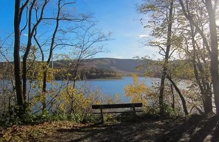 Journées de Constellations familiales en groupe, thème libre. 