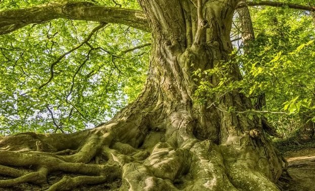Journée THEMATIQUE de constellations : 'Femme et argent'