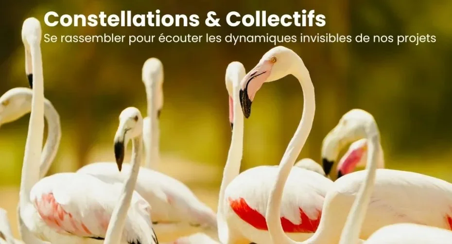 Laboratoire d’apprentissage collectif : une soirée, par mois, en ligne, chez vous, consteller sur vos projets collectifs, partager, observer pour transformer.